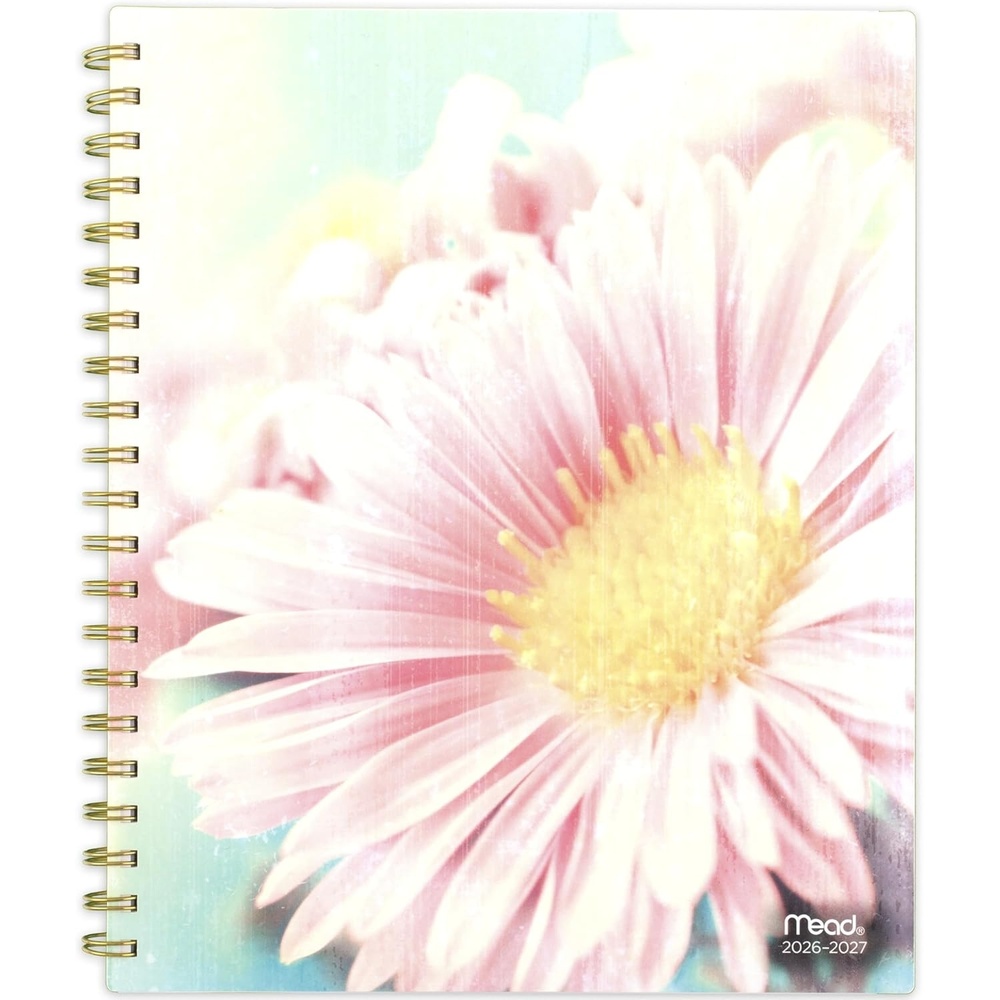 image:imageMead Planner 20262027 Weekly amp Monthly Academic 15Month AprilJune 812 x 11 Aster 1803905AAster