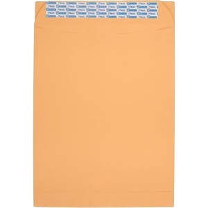 Mead Envelopes, Letter Size, 6″ x 9″, Press-It Seal-It Self Adhesive Closure, Brown Kraft All-Purpose 24-lb Paper Mailing Envelopes, 30 Count (76084)(10″ x 13″ / 20-count)
